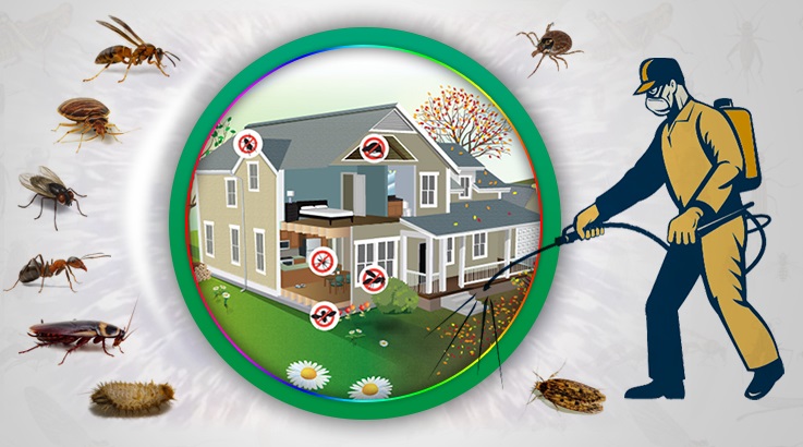 Küçükçekmece Böcek İlaçlama