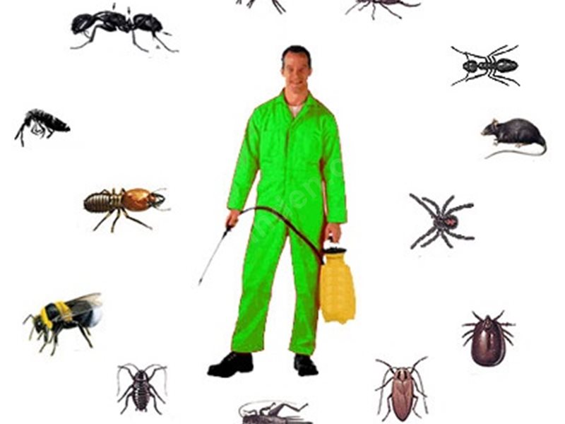 Küçükçekmece Böcek İlaçlama